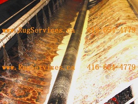 persian rug cleaning in Oakville: rinsing 2