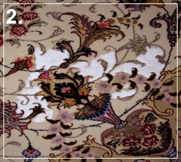 Cleaning Wool Rug in toronto - Cleaning Area Rug in Toronto: Pet Stain2 - During