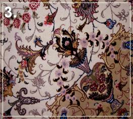 Cleaning Wool Rug in toronto - Cleaning Area Rug in Toronto: Pet Stain2 - After