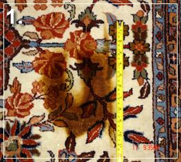 Cleaning Wool Rug in toronto - Cleaning Area Rug in Toronto: Pet Stain1 - Before