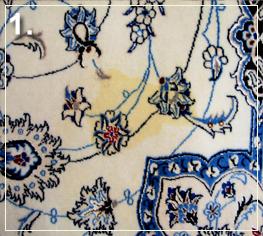 Cleaning Wool Rug in toronto - Cleaning Area Rug in Toronto: Pet Stain3 - Before