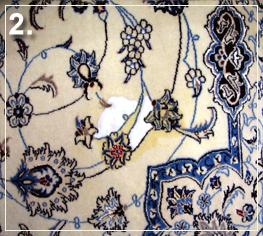 Cleaning Wool Rug in toronto - Cleaning Area Rug in Toronto: Pet Stain3 - During