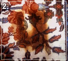 Cleaning Wool Rug in toronto - Cleaning Area Rug in Toronto: Pet Stain1 - During